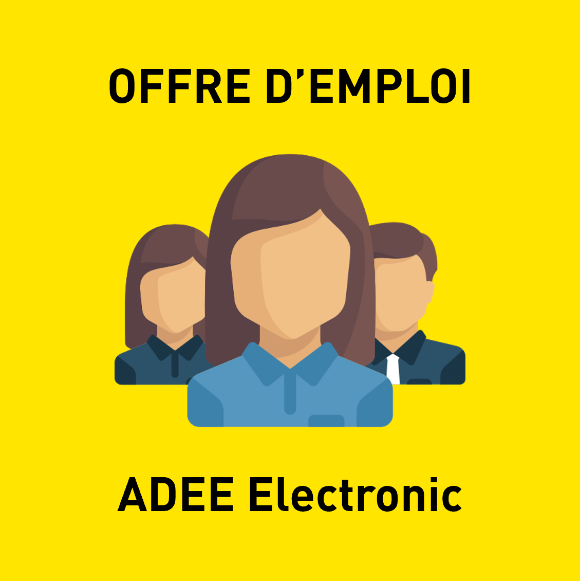Animateur des ventes (H/F)